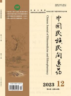 中国民族民间医药期刊